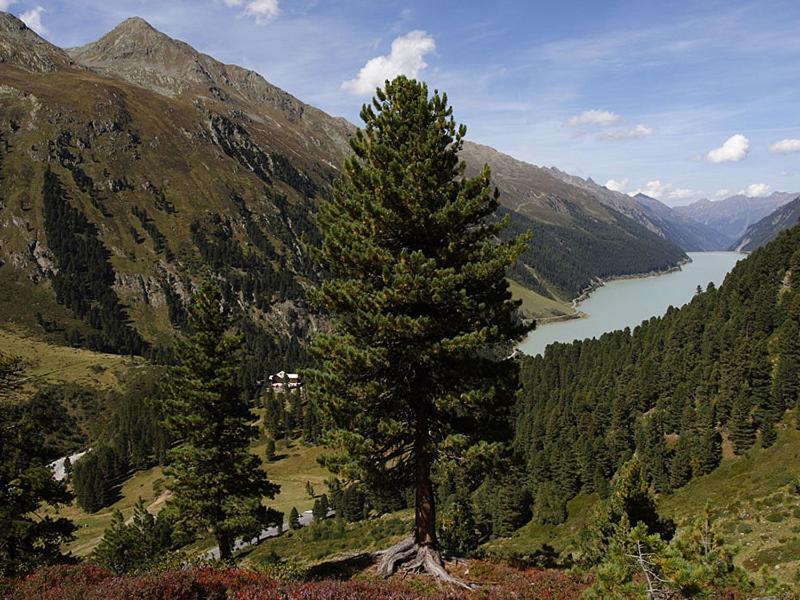 Plattnerhof Kaunertal Exterior photo